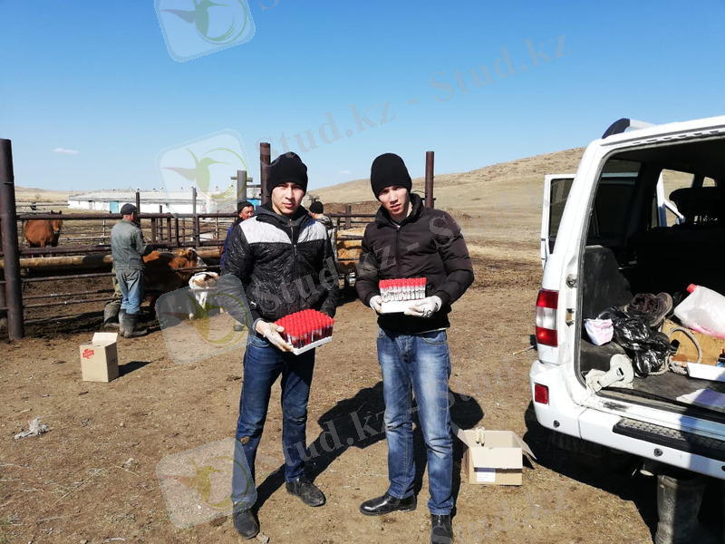 C:\Users\Kuanish Imanshaev\Desktop\Новая папка\IMG-20190430-WA0033.jpg