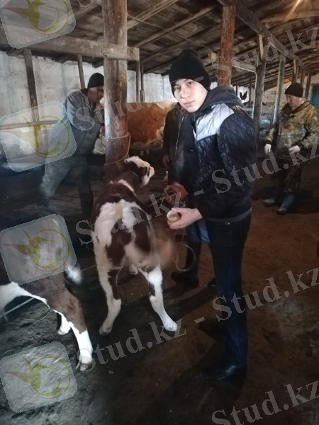 C:\Users\Kuanish Imanshaev\Desktop\Новая папка\IMG-20190430-WA0019.jpg