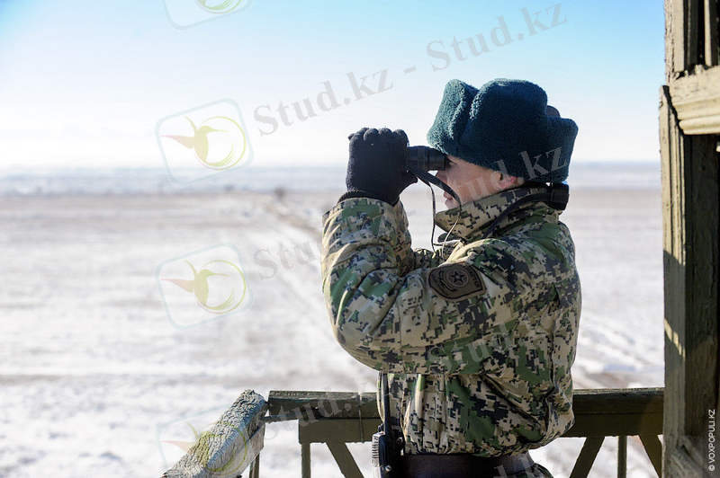 220px-Пограничник_в_Туркестане.jpg