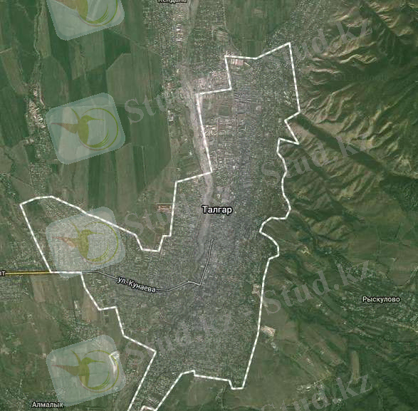 C:\Users\Дом\Desktop\ген план 4.png