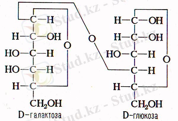 Фишер формуласы.png