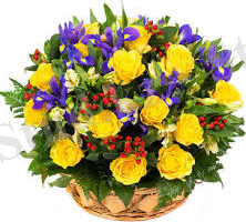 C:\Users\Student\Downloads\images 2.jpg