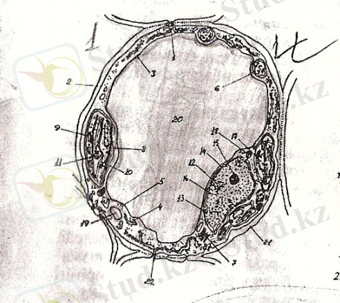 сканирование0001