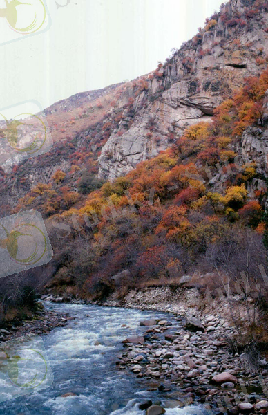 C:\Users\Сергей\Desktop\р. Левый Талгар.jpeg