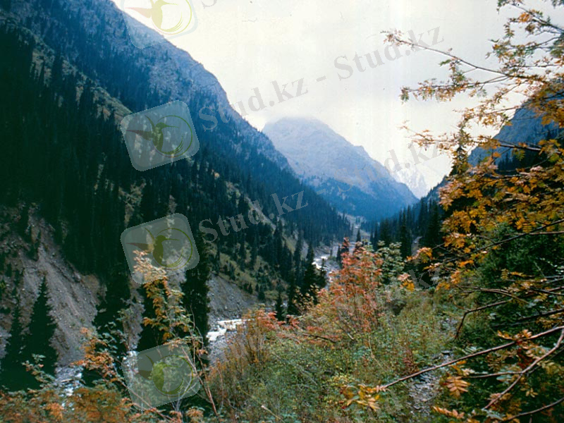 C:\Users\Сергей\Desktop\р. Средний Талгар.jpeg