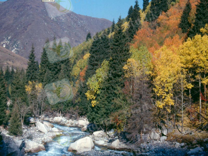 C:\Users\Сергей\Desktop\р. Талгар.jpeg