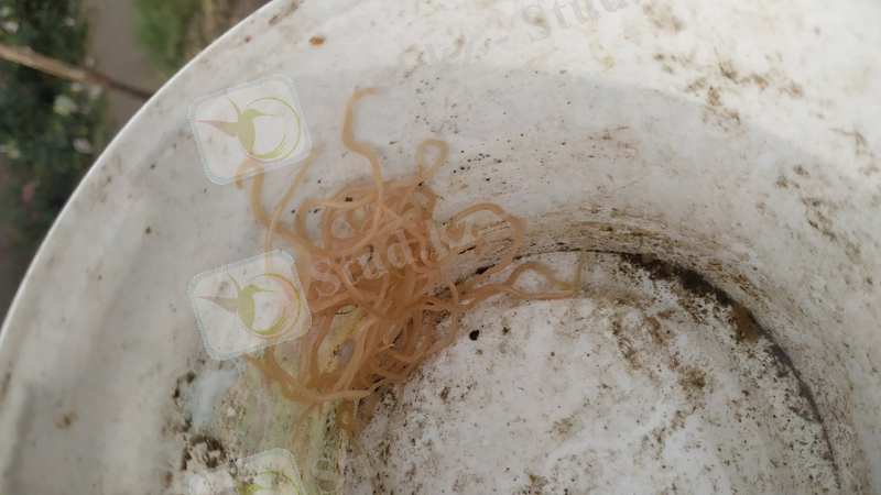 C:\Users\Тима\AppData\Local\Microsoft\Windows\Temporary Internet Files\Content.Word\IMG_20191001_120223.jpg