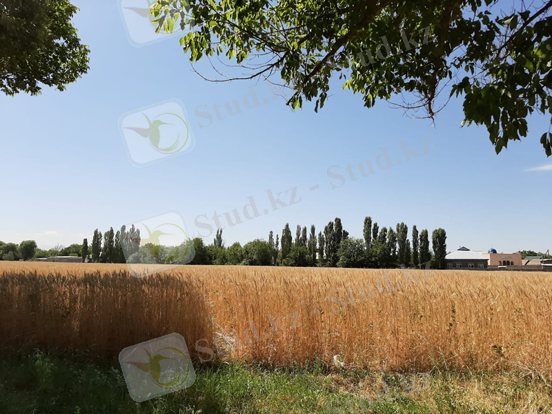 C:\Users\user\Downloads\WhatsApp Image 2019-11-06 at 21.03.13.jpeg