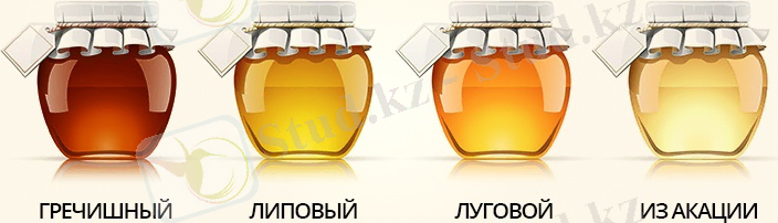 ÐÐ¾ÑÐ¾Ð¶ÐµÐµ Ð¸Ð·Ð¾Ð±ÑÐ°Ð¶ÐµÐ½Ð¸Ðµ