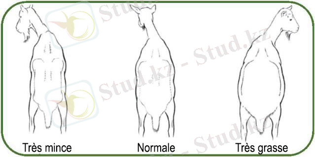 ÐÐ°ÑÑÐ¸Ð½ÐºÐ¸ Ð¿Ð¾ Ð·Ð°Ð¿ÑÐ¾ÑÑ ÑÐ¿Ð¸ÑÐ°Ð½Ð½Ð¾ÑÑÑ ÐºÐ¾Ð·