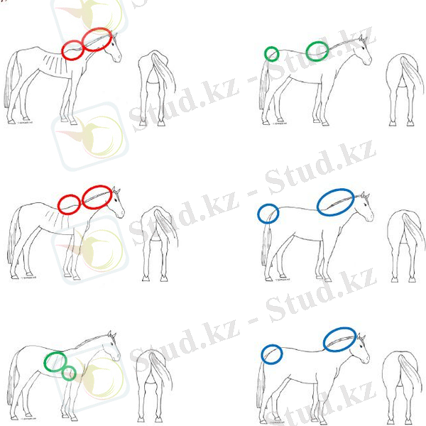 ÐÐ¾ÑÐ¾Ð¶ÐµÐµ Ð¸Ð·Ð¾Ð±ÑÐ°Ð¶ÐµÐ½Ð¸Ðµ