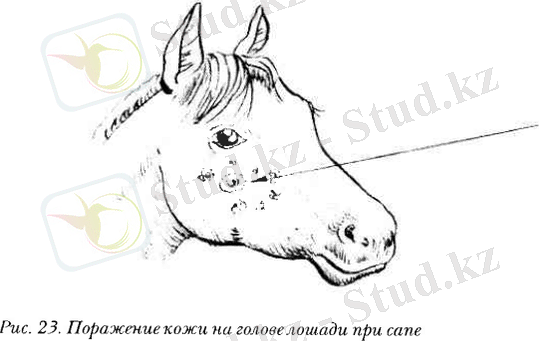 ÐÐ°ÑÑÐ¸Ð½ÐºÐ¸ Ð¿Ð¾ Ð·Ð°Ð¿ÑÐ¾ÑÑ ÑÐ°Ð¿Ð»Ð¾ÑÐ°Ð´ÐµÐ¹