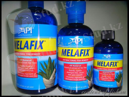 Ð¼ÐµÐ»Ð°ÑÐ¸ÐºÑ Ð´Ð»Ñ Ð°ÐºÐ²Ð°ÑÐ¸ÑÐ¼Ð½ÑÑ ÑÑÐ±Ð¾Ðº