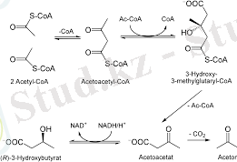 C:\Users\User\Desktop\Без названия.png