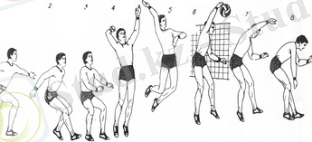 Безымянный