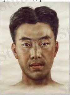 Картинки по запросу монголоидтық нәсіл