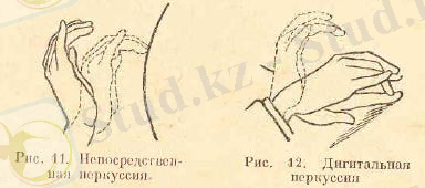 Картинки по запросу пальпация животных