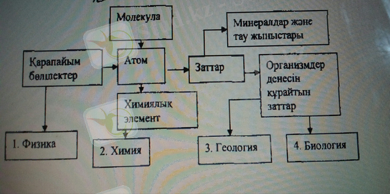 C:\Users\Admin\Desktop\дипломдық жұмыс керекті мәліметтер\IMG_20190613_092137.jpg