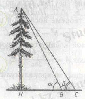 Картинки по запросу измерение высоты предмета геометрия