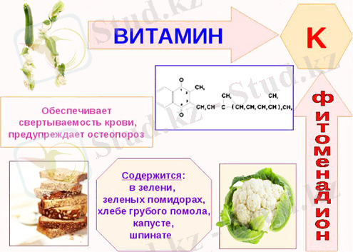 vitamin-k-4.jpg