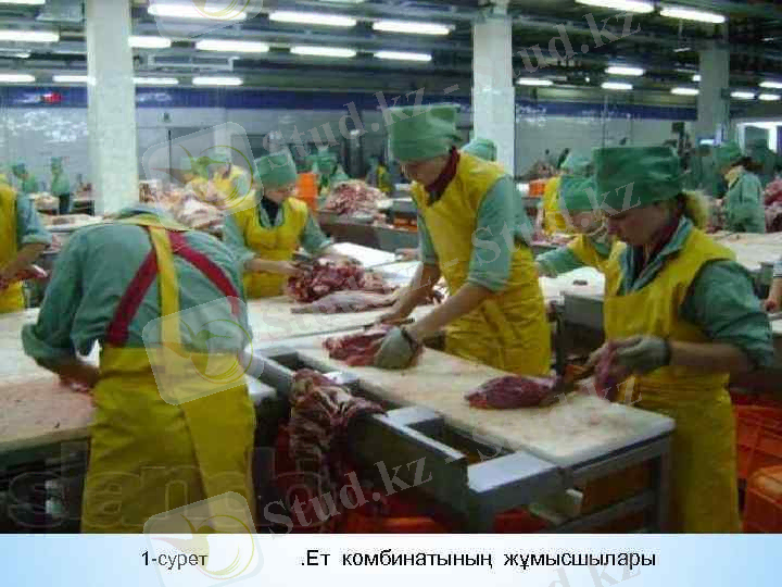 1 -сурет . Ет комбинатының жұмысшылары 