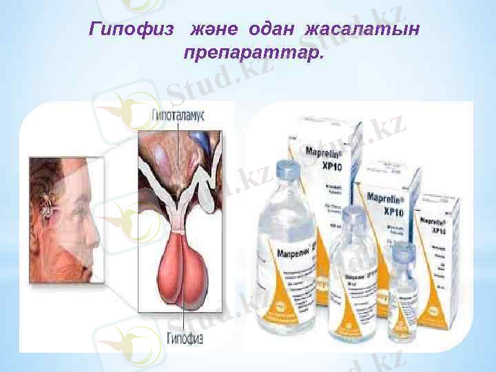 Гипофиз және одан жасалатын препараттар. 
