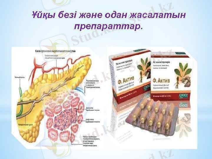 Ұйқы безі және одан жасалатын препараттар. 