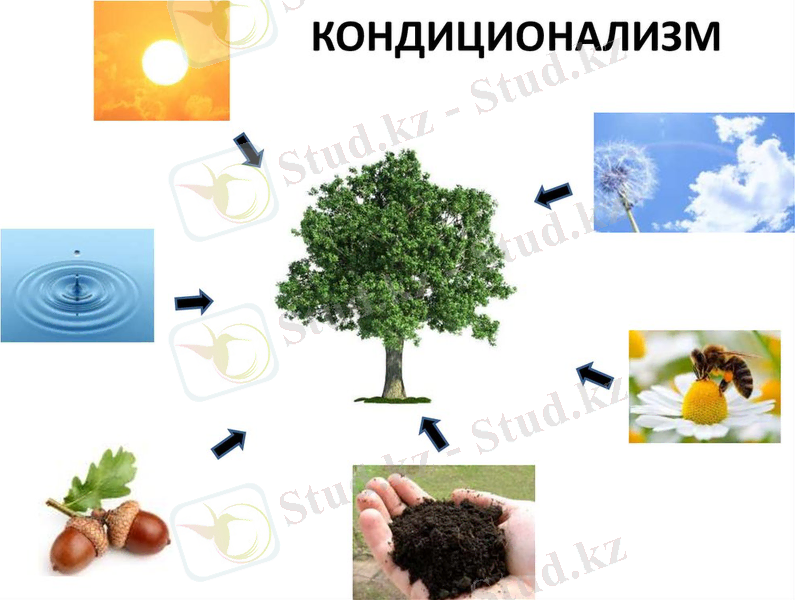 КОНДИЦИОНАЛИЗМ