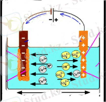 E:\mektep ernaz\ғылыми жоба\foto\9ff51a2e-1b6f-472d-bbcf-ba386354b930.jpg