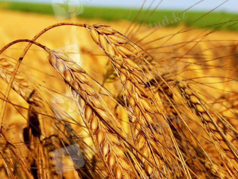 Похожее изображение