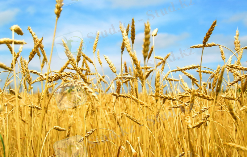 Похожее изображение