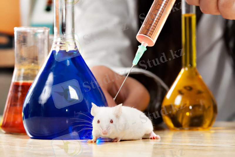 mouse-beakers1.jpg