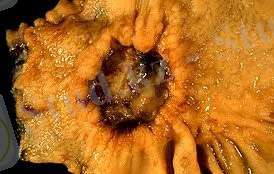 D:\Нурхан 4-курс\Без названия (2).jpg