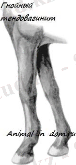 C:\Users\user\Downloads\WhatsApp Image 2020-04-18 at 23.15.59 (1).jpeg