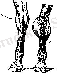 C:\Users\user\Downloads\WhatsApp Image 2020-04-18 at 23.15.59.jpeg