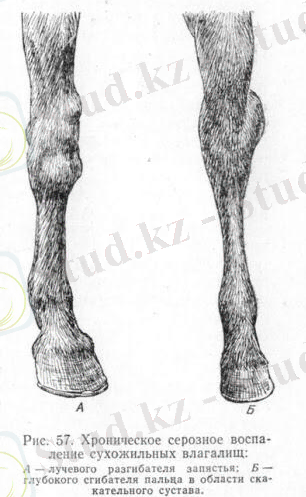 C:\Users\user\Downloads\WhatsApp Image 2020-04-18 at 23.15.58.jpeg