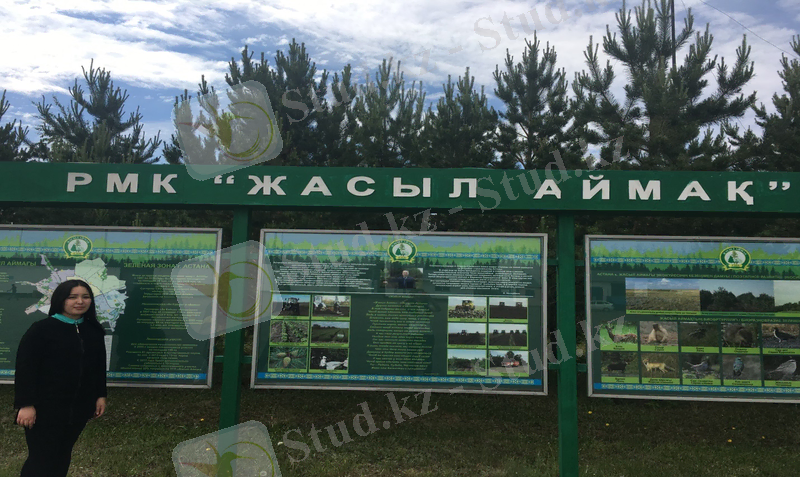 C:\Users\Family\Desktop\отчет\my soul (67).JPG