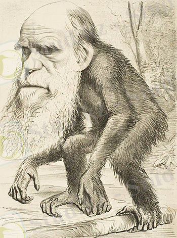 http://upload.wikimedia.org/wikipedia/commons/thumb/6/6f/Editorial_cartoon_depicting_Charles_Darwin_as_an_ape_%281871%29.jpg/350px-Editorial_cartoon_depicting_Charles_Darwin_as_an_ape_%281871%29.jpg